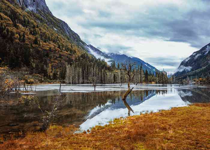 成都租辆理想家商务车，解锁一家老小的松弛感旅行-第1张图片-成都租车公司